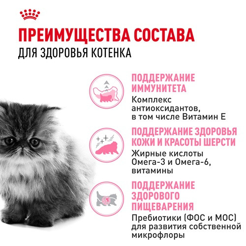 Royal Canin Persian Kitten сухой корм для котят персидской породы