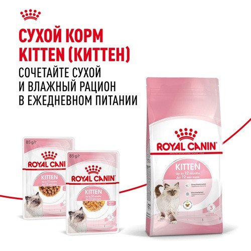 Royal Canin Kitten влажный корм для котят в соусе
