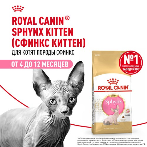 Royal Canin Sphynx Kitten сухой корм для котят породы сфинкс