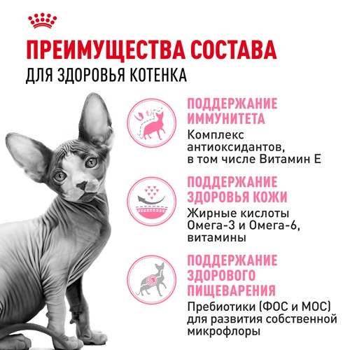 Royal Canin Sphynx Kitten сухой корм для котят породы сфинкс