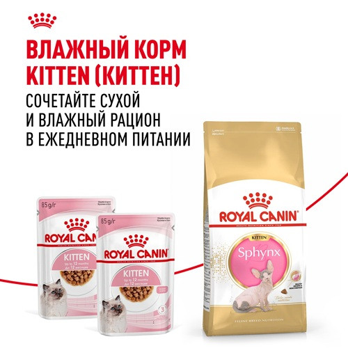 Royal Canin Sphynx Kitten сухой корм для котят породы сфинкс