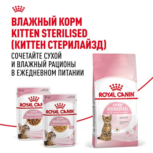 Royal Canin Kitten Sterilised сухой корм для стерилизованных котят