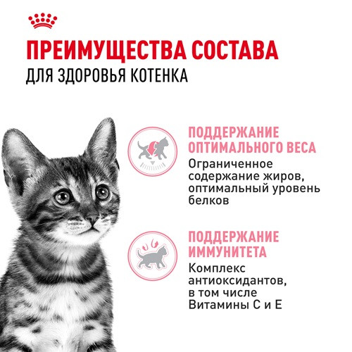 Royal Canin Kitten Sterilised влажный корм для котят в желе