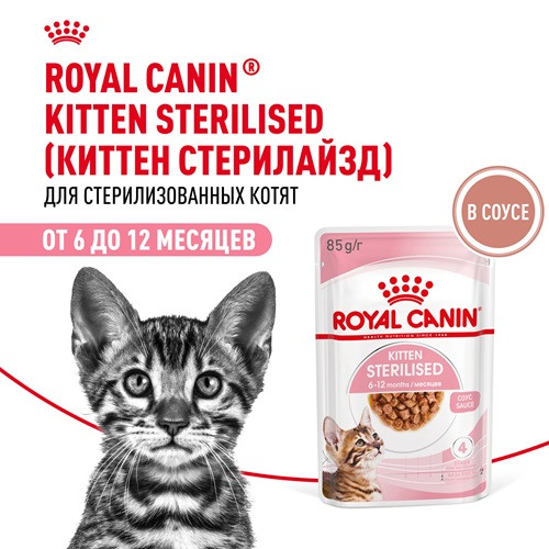Royal Canin Kitten Sterilised влажный корм для котят в соусе