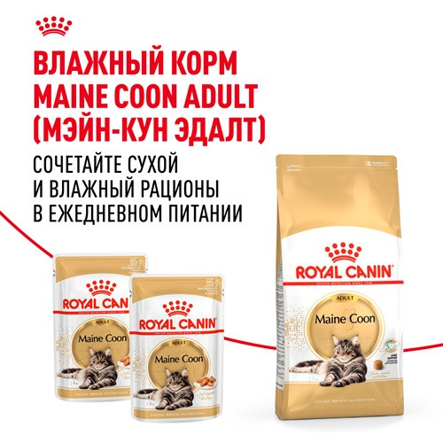 Royal Canin Maine Coon Adult сухой корм для кошек породы мэйн-кун