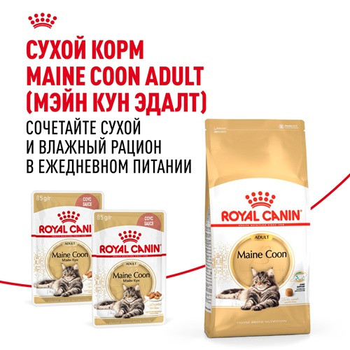 Royal Canin Maine Coon влажный корм для кошек в соусе