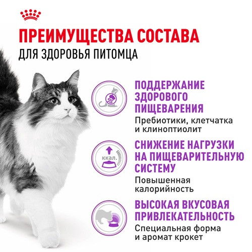 Royal Canin Sensible сухой корм для взрослых кошек