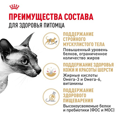 Royal Canin Siamese Adult сухой корм для кошек сиамской породы