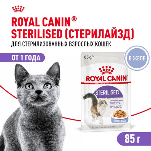 Royal Canin Sterilised влажный корм для кошек в желе