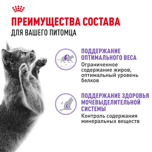 Royal Canin Sterilised влажный корм для кошек в соусе