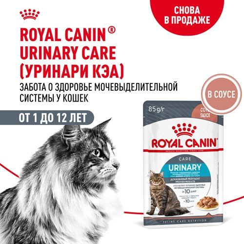 Royal Canin Urinary Care влажный корм для кошек в соусе