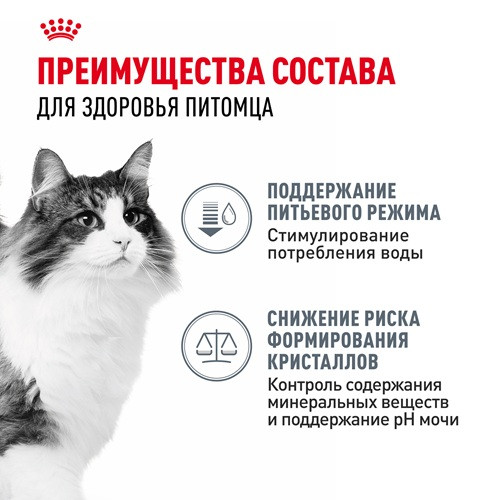 Royal Canin Urinary Care влажный корм для кошек в соусе