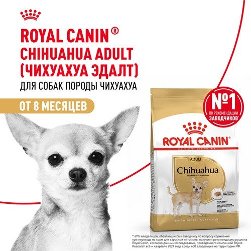 Royal Canin Chihuahua Adult сухой корм для собак породы чихуахуа