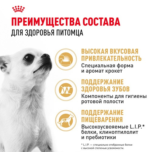 Royal Canin Chihuahua Adult сухой корм для собак породы чихуахуа
