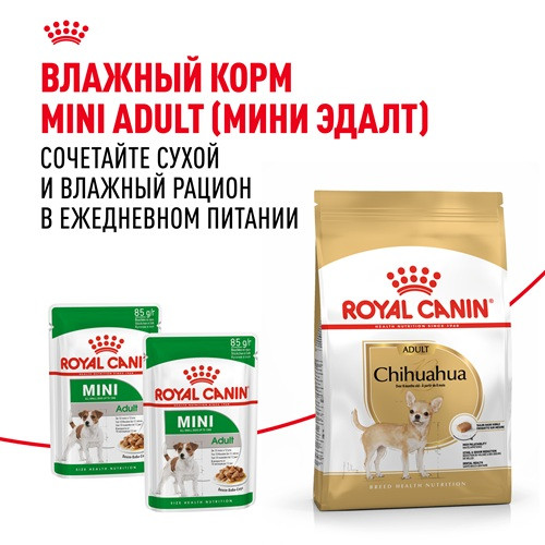 Royal Canin Chihuahua Adult сухой корм для собак породы чихуахуа