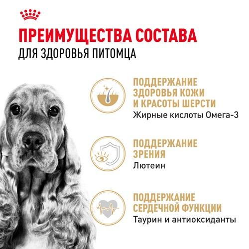 Royal Canin Cocker Adult сухой корм для собак породы кокер спаниель