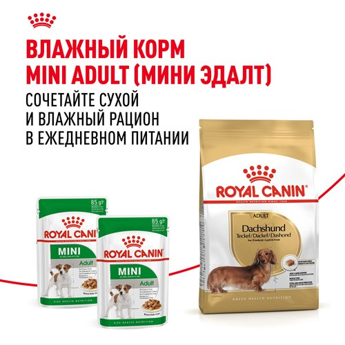 Royal Canin Dachshund Adult сухой корм для собак породы такса