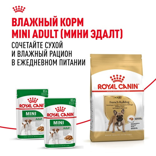 Royal Canin French Bulldog Adult сухой корм для собак породы французский бульдог