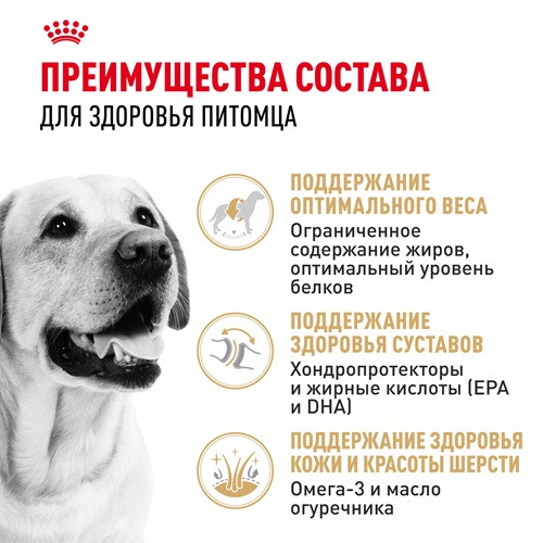 Royal Canin Labrador Retriever Adult сухой корм для собак породы лабрадор ретривер