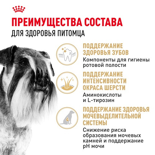 Royal Canin Miniature Schnauzer Adult сухой корм для собак породы миниатюрный шнауцер