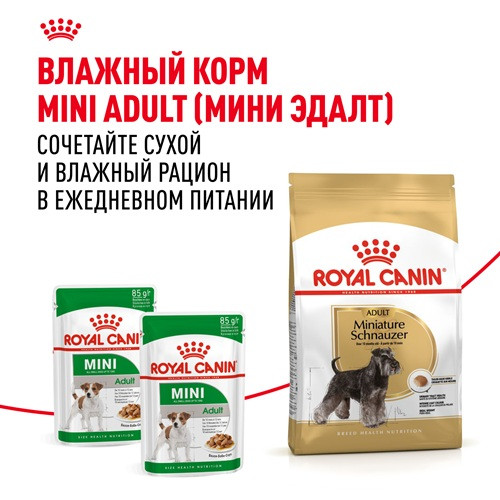 Royal Canin Miniature Schnauzer Adult сухой корм для собак породы миниатюрный шнауцер