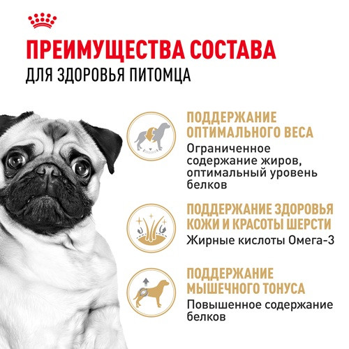 Royal Canin Pug Adult сухой корм для собак породы мопс