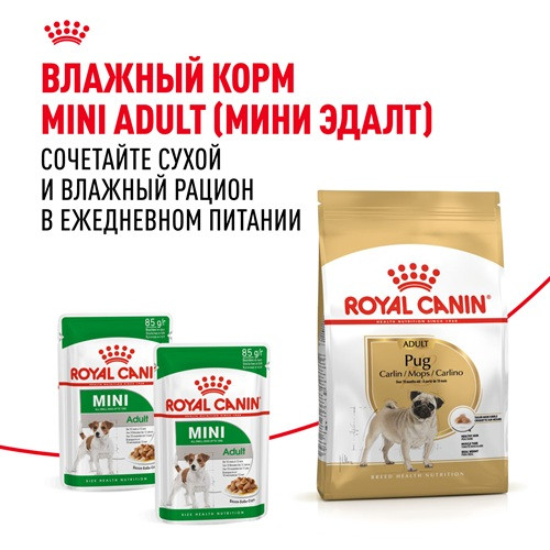 Royal Canin Pug Adult сухой корм для собак породы мопс