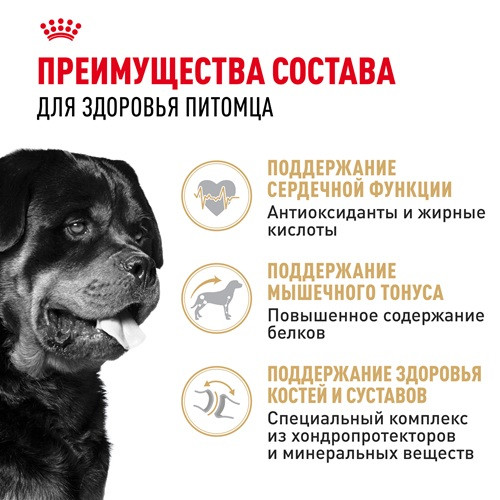 Royal Canin Rottweiler Adult сухой корм для собак породы ротвейлер