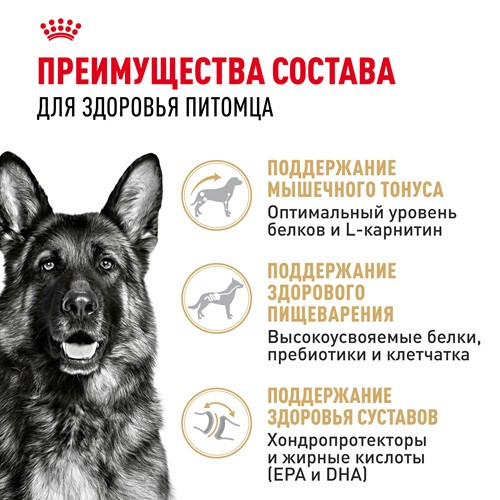 Royal Canin German Shepherd Adult сухой корм для собак породы немецкая овчарка