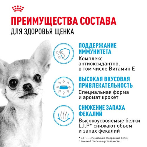 Royal Canin Chihuahua Puppy сухой корм для щенков породы чихуахуа