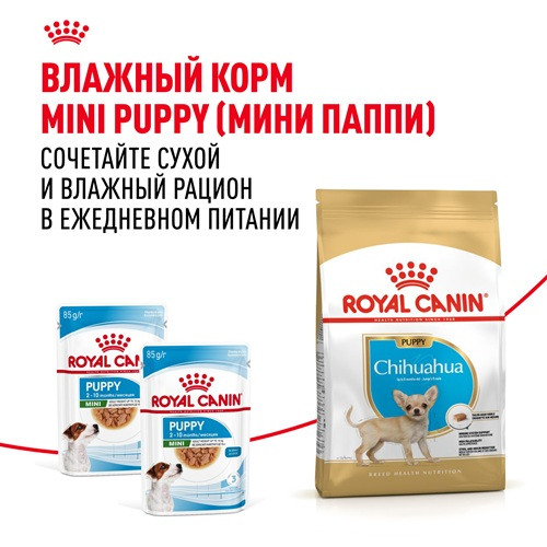 Royal Canin Chihuahua Puppy сухой корм для щенков породы чихуахуа