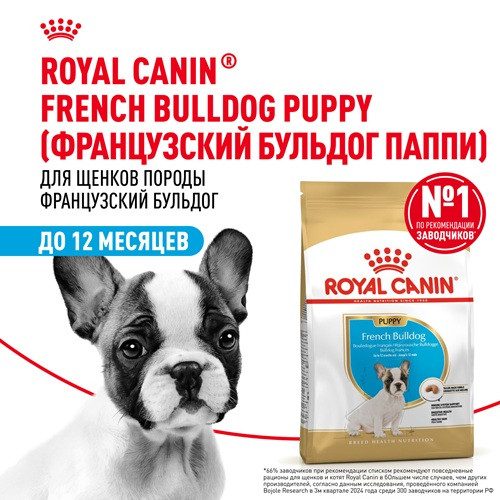 Royal Canin French Bulldog Puppy сухой корм для щенков породы французский бульдог