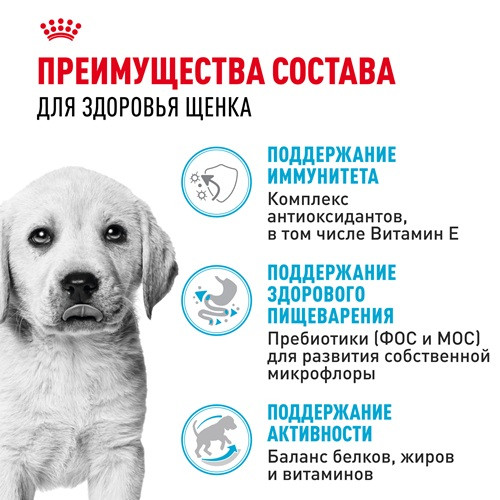 Royal Canin Labrador Retriever Puppy сухой корм для щенков породы лабрадор ретривер