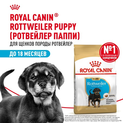 Royal Canin Rottweiler Puppy сухой корм для щенков породы ротвейлер