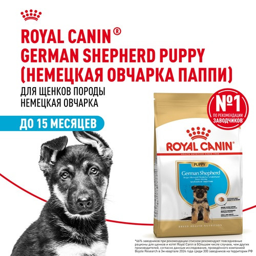 Royal Canin German Shepherd Puppy сухой корм для щенков породы немецкая овчарка