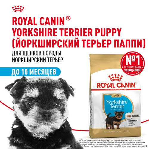 Royal Canin Yorkshire Terrier Puppy сухой корм для щенков породы йоркширский терьер