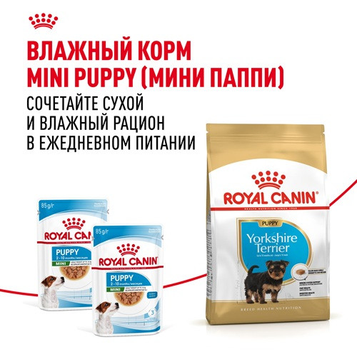 Royal Canin Yorkshire Terrier Puppy сухой корм для щенков породы йоркширский терьер