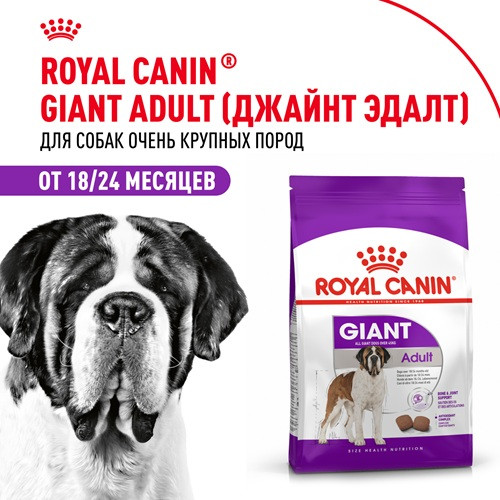 Royal Canin Giant Adult сухой корм для собак гигантских пород