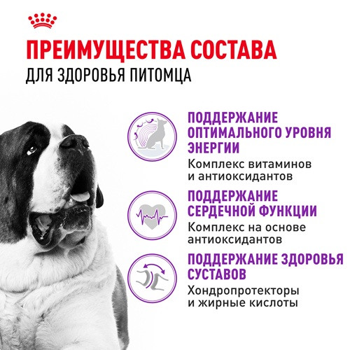 Royal Canin Giant Adult сухой корм для собак гигантских пород