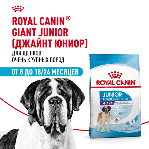 Royal Canin Giant Junior сухой корм для юниоров гигантских пород
