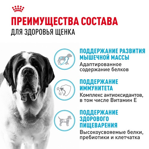 Royal Canin Giant Junior сухой корм для юниоров гигантских пород