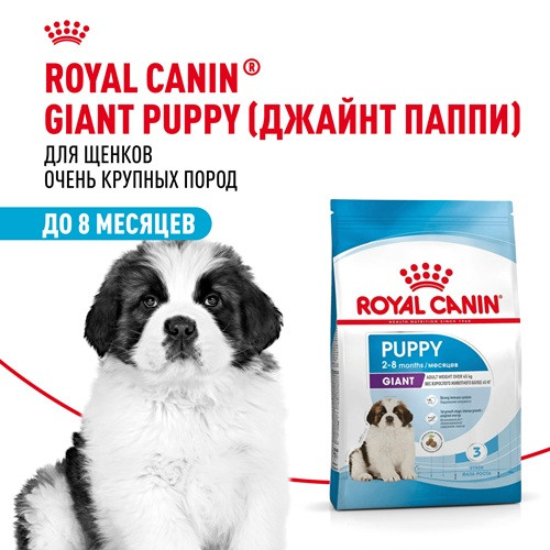 Royal Canin Giant Puppy сухой корм для щенков гигантских пород