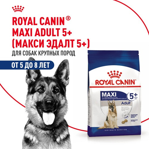 Royal Canin Maxi Adult 5+ сухой корм для собак крупных пород