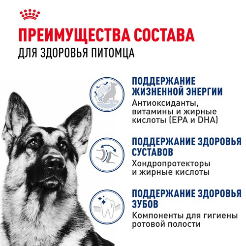 Royal Canin Maxi Adult 5+ сухой корм для собак крупных пород