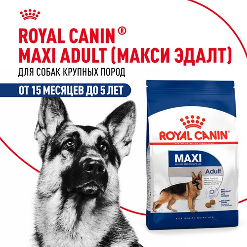 Royal Canin Maxi Adult сухой корм для собак крупных пород