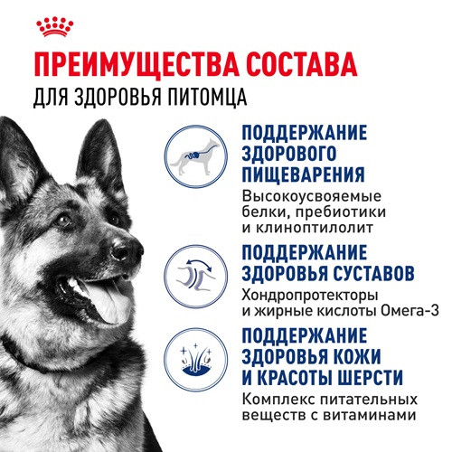 Royal Canin Maxi Adult сухой корм для собак крупных пород