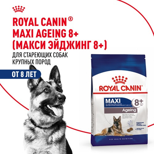 Royal Canin Maxi Ageing 8+ сухой корм для собак крупных пород
