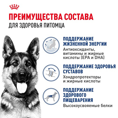 Royal Canin Maxi Ageing 8+ сухой корм для собак крупных пород
