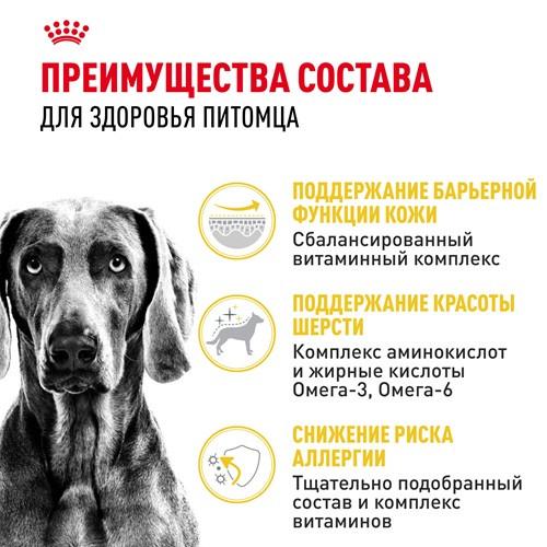 Royal Canin Maxi Dermacomfort сухой корм для собак крупных пород