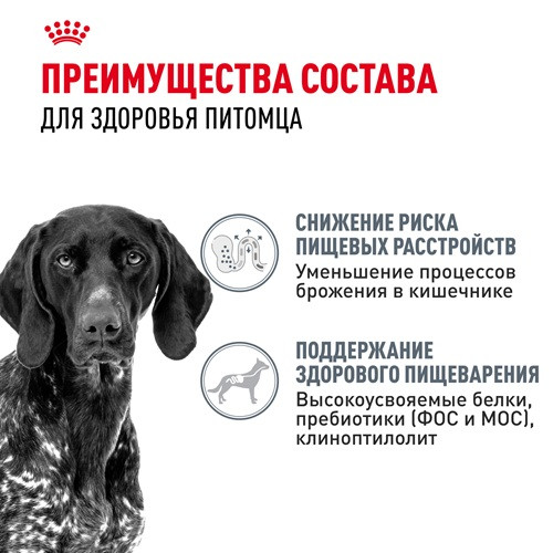 Royal Canin Maxi Digestive Care сухой корм для собак крупных пород